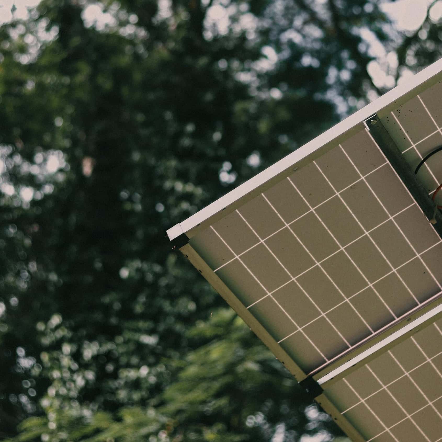 Solar Panels being used to generate solar energy in Singapore